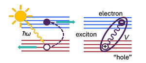 When light excites an electron from the valence to the conduction band. The created hole can bind with the electron to form an exciton.